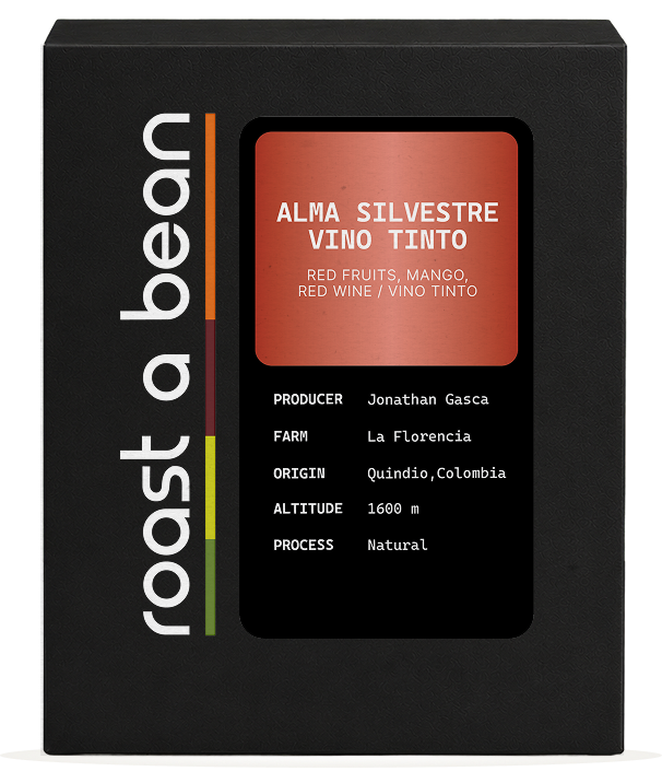 Alma Silvestre Vino Tinto (2)